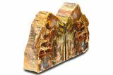 Tall, Colorful Arizona Petrified Wood Bookends #307172-1